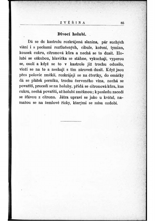 Česká-kuchařka-1895 – strana (93)~1